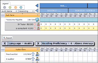 IAP - Offline - Auditor Search Selection