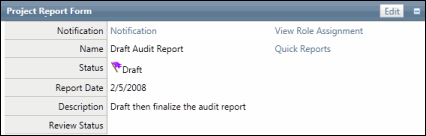 Audit Report Form