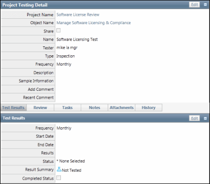 Audit Testing Detail