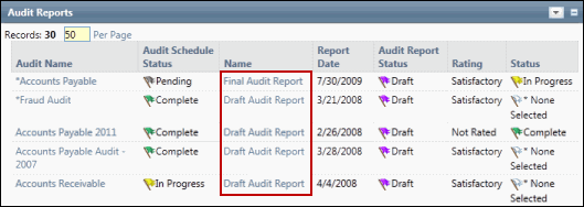 Audit Reports Form